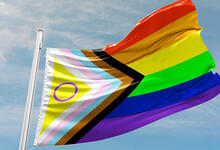 Pride Pride-Progress-Flagge